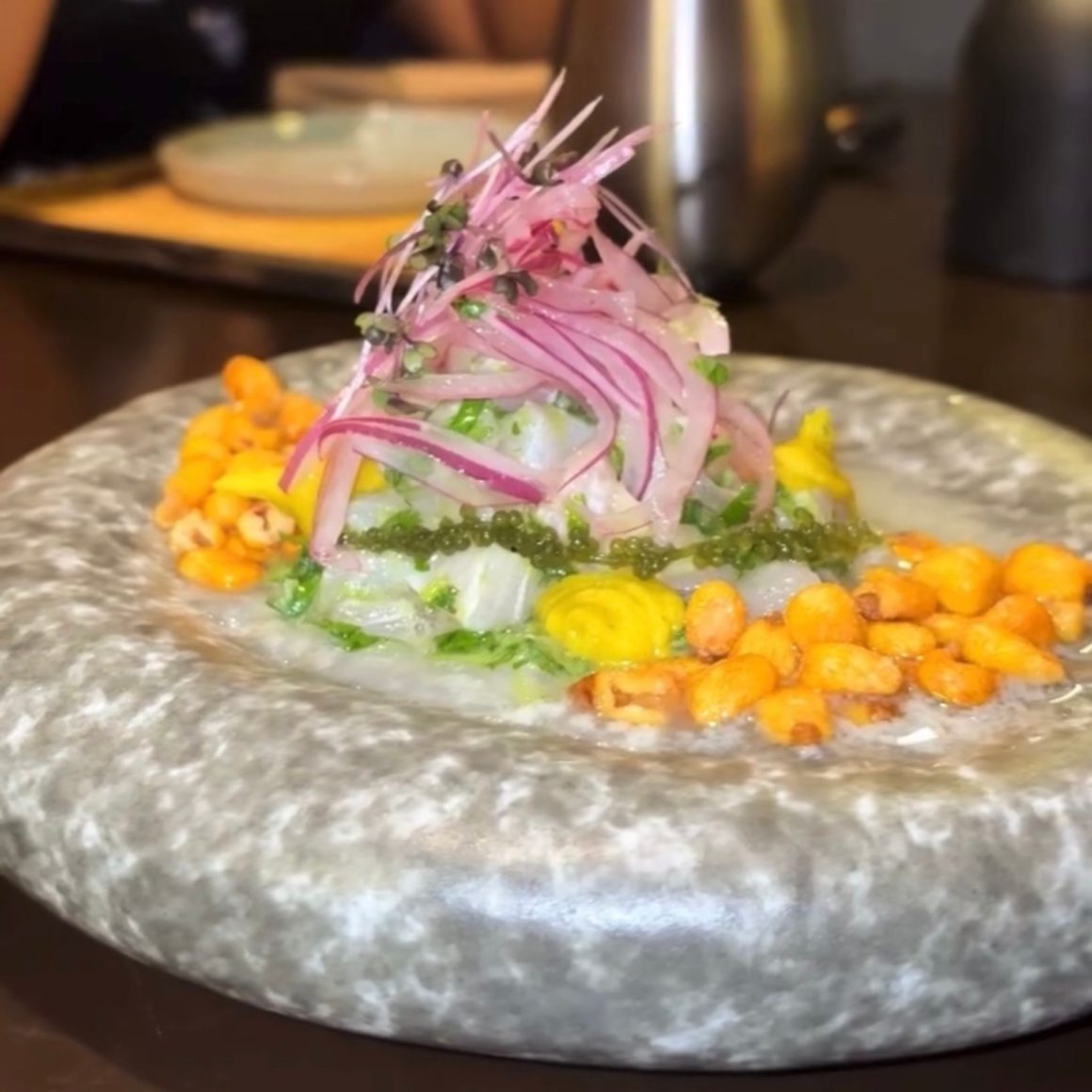 Gourmet Latin American ceviche with diced white fish, red onion, sprouts, toasted corn, and yellow sauce artfully plated on stone dish